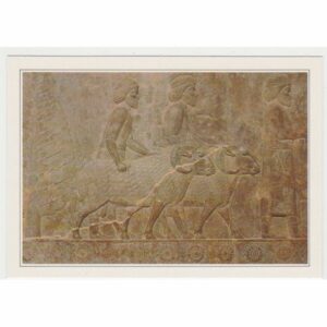 IRAN PERSEPOLIS WIDOKÓWKA A66773
