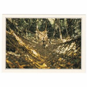 WYBRZEŻE KOŚCI SŁONIOWEJ WIDOKÓWKA A66792