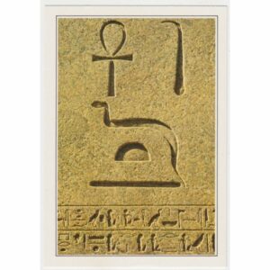 EGIPT LUXOR WIDOKÓWKA A66874