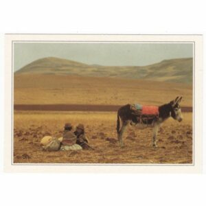 PERU AREQUIPA OSIOŁ WIDOKÓWKA A66938