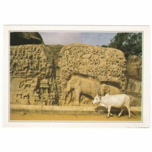 INDIE MAHABALIPURAM WIDOKÓWKA A67090