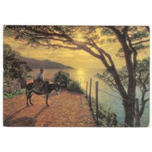 WŁOCHY ELBA OSIOŁ WIDOKÓWKA A67759