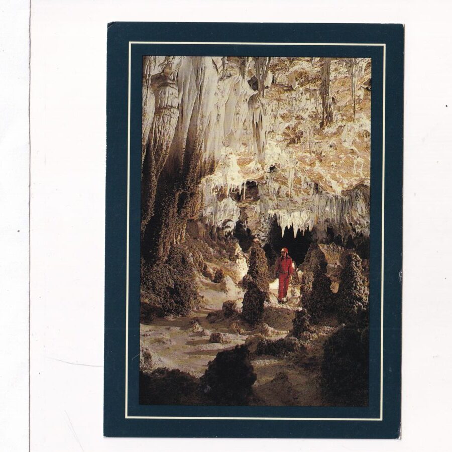 USA NEW MEXICO CARLSBAD CAVEN POCZTÓWKA A91727