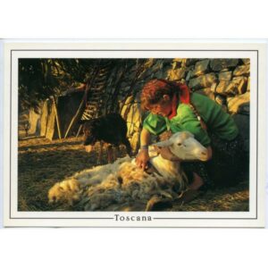 TOSKANIA WIDOKÓWKA WR2457