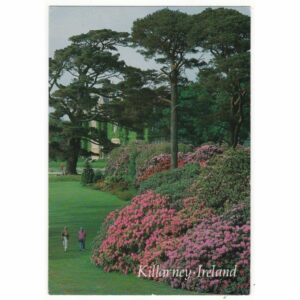 IRLANDIA KILLARNEY WIDOKÓWKA A69801