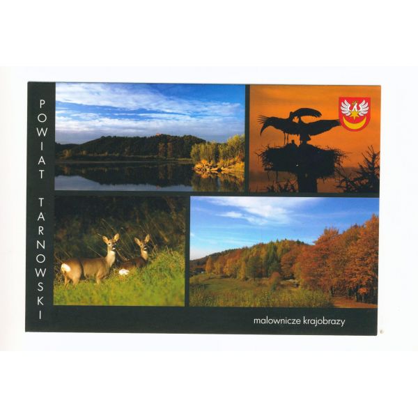 POWIAT TARNOWSKI WIDOKÓWKA WR8928