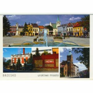 POWIAT BRZESKI WIDOKÓWKA WR9091