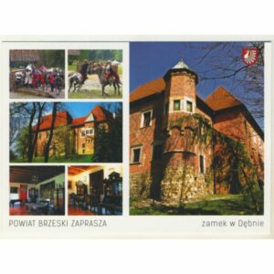POWIAT BRZESKI WIDOKÓWKA WR9092