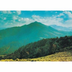 BIESZCZADY WIDOKÓWKA A71263