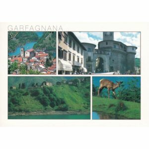 WŁOCHY LUCCA WIDOKÓWKA A72207