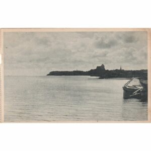 PUCK WIDOKÓWKA A72418