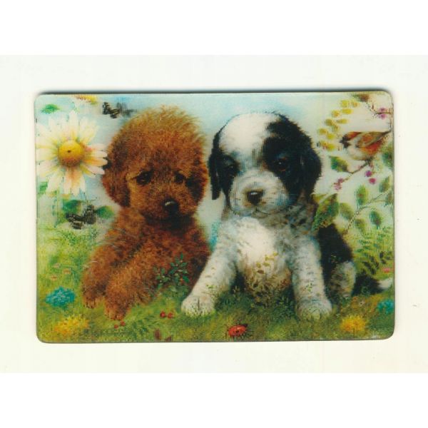 MAGNES NA LODÓWKĘ MAGNETKA 3D TRÓJWYMIAROWA PIESKI 1422