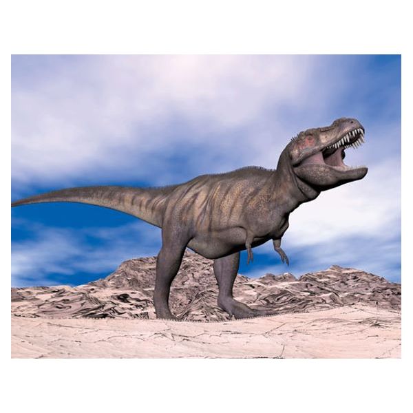 MAGNES 3D TRÓJWYMIAROWY TURANOZAUR 2900