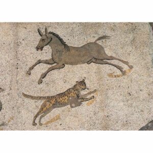 WŁOCHY PIAZZA ARMERINA POCZTÓWKA WR9822