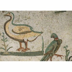 WŁOCHY PIAZZA ARMERINA POCZTÓWKA WR9839