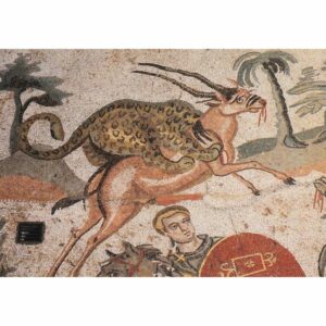 WŁOCHY PIAZZA ARMERINA POCZTÓWKA WR9843