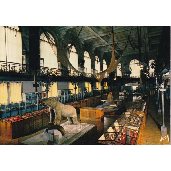 MONAKO WIDOKÓWKA A74896