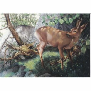 WŁOCHY MUZEUM ARCHEOLOGICZNE SARNA POCZTÓWKA A75184