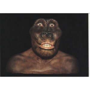 WŁOCHY MUZEUM ARCHEOLOGICZNE POCZTÓWKA A75196