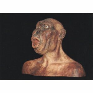 WŁOCHY MUZEUM ARCHEOLOGICZNE POCZTÓWKA A75200