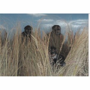 WŁOCHY MUZEUM ARCHEOLOGICZNE POCZTÓWKA A75202