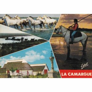 FRANCJA CAMARUGE KOŃ POCZTÓWKA A75536