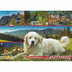 ZAKOPANE WIDOKÓWKA WR10553