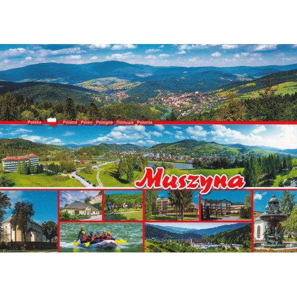 MUSZYNA WIDOKÓWKA WR10652