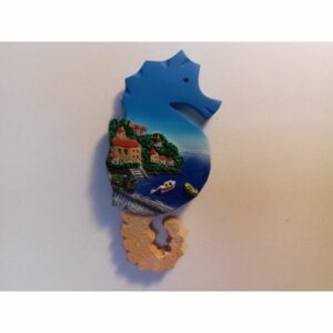 MAGNETKA magnes morze konik morski (610)