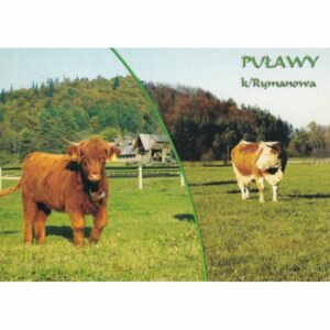 PUŁAWY WIDOKÓWKA A77107