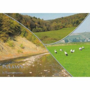 PUŁAWY WIDOKÓWKA A77108