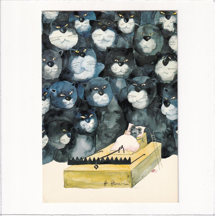 KOT KOTY POCZTÓWKA A84877