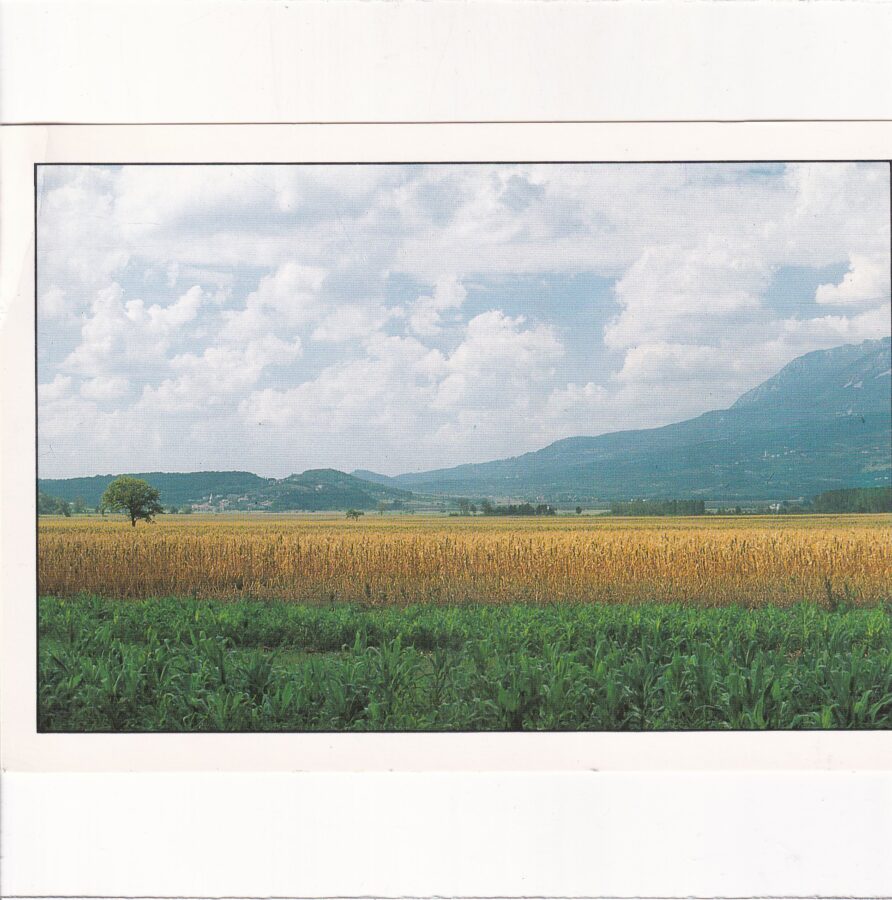 SŁOWENIA VIPAVSKA DOLINA WIDOKÓWKA A86655