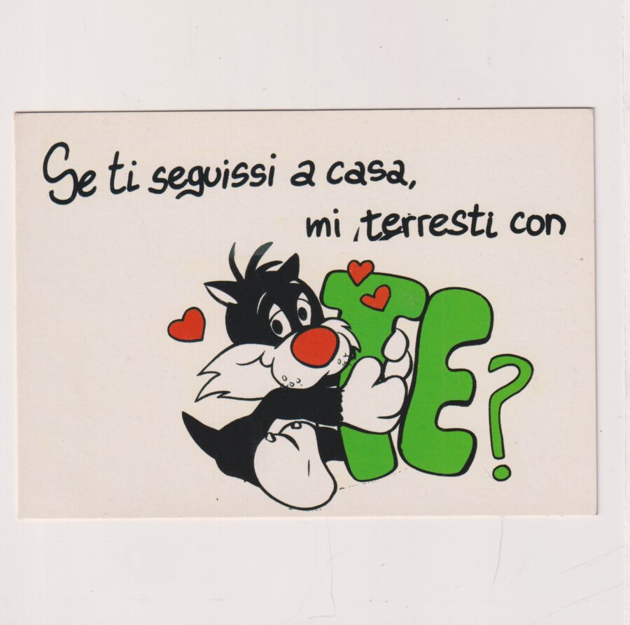 WARNER BROS DISNEY SYLWESTER POCZTÓWKA A3864