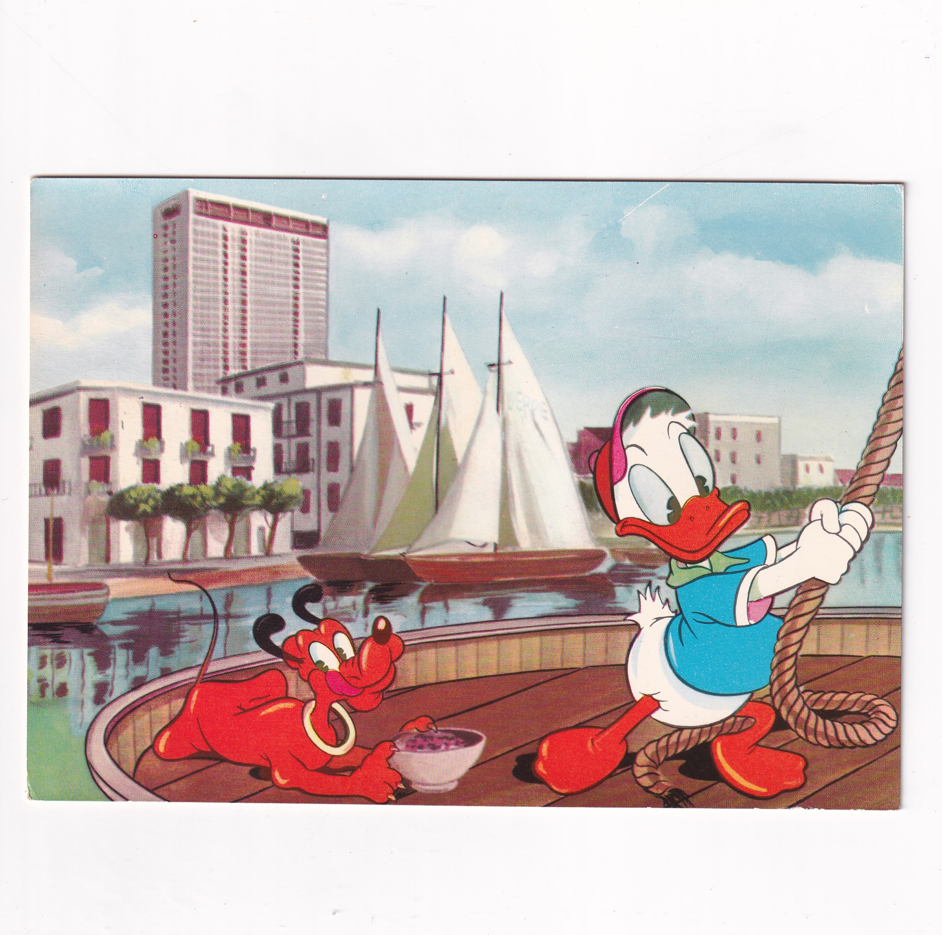 DISNEY KACZOR DONALD POCZTÓWKA A5988