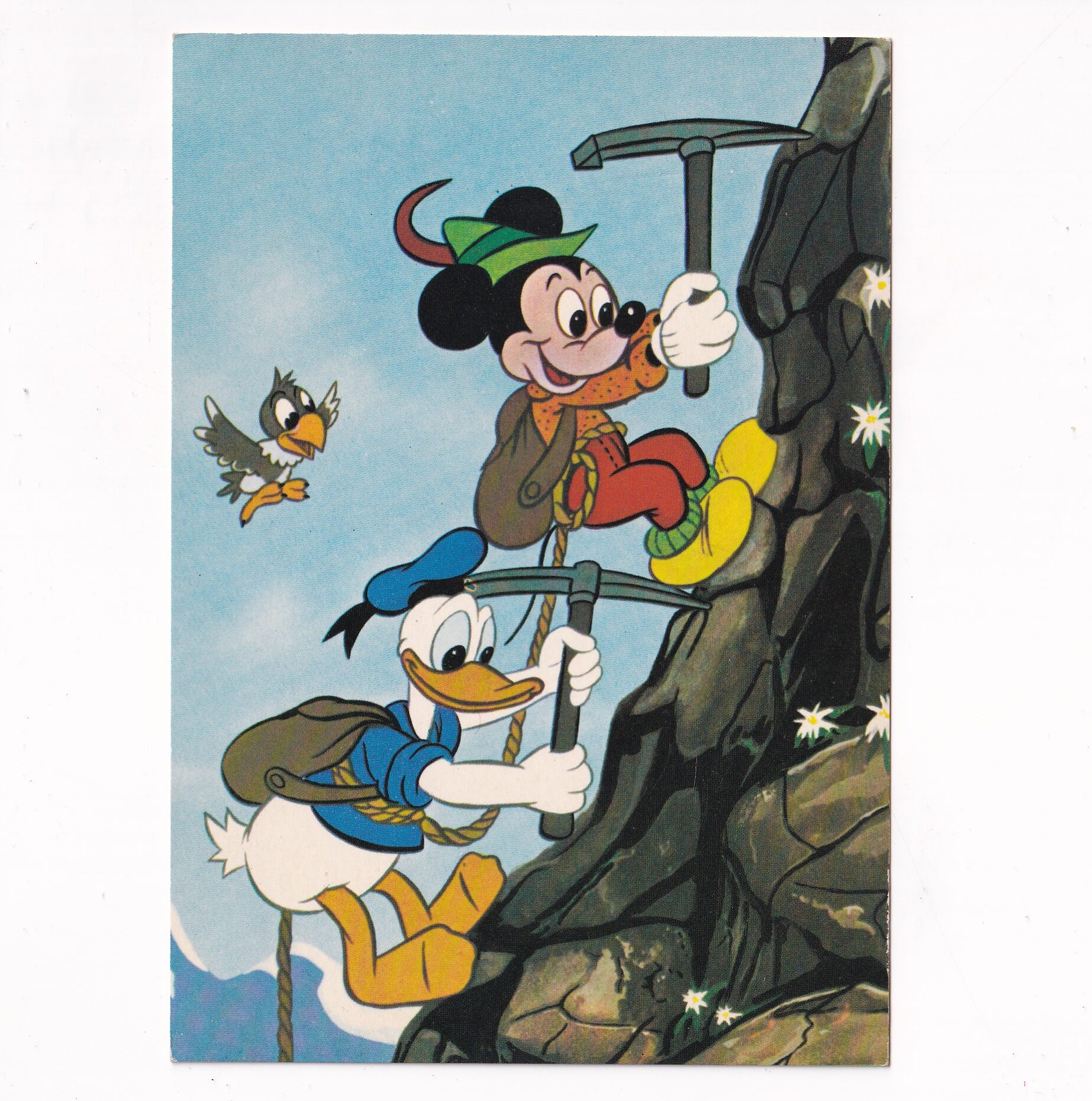 DISNEY COLLECTION KACZOR DONALD POCZTÓWKA A5863