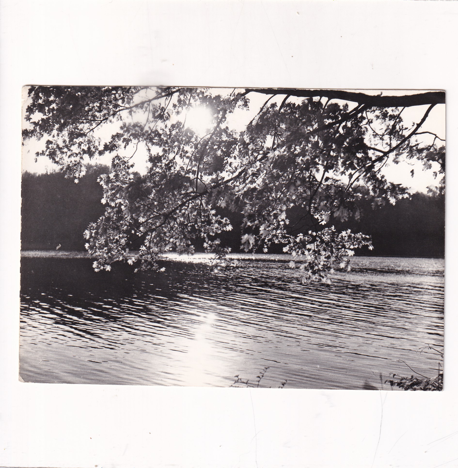 BUKOWINA K/WAŁCZA JEZIORO RADUŃ A12120