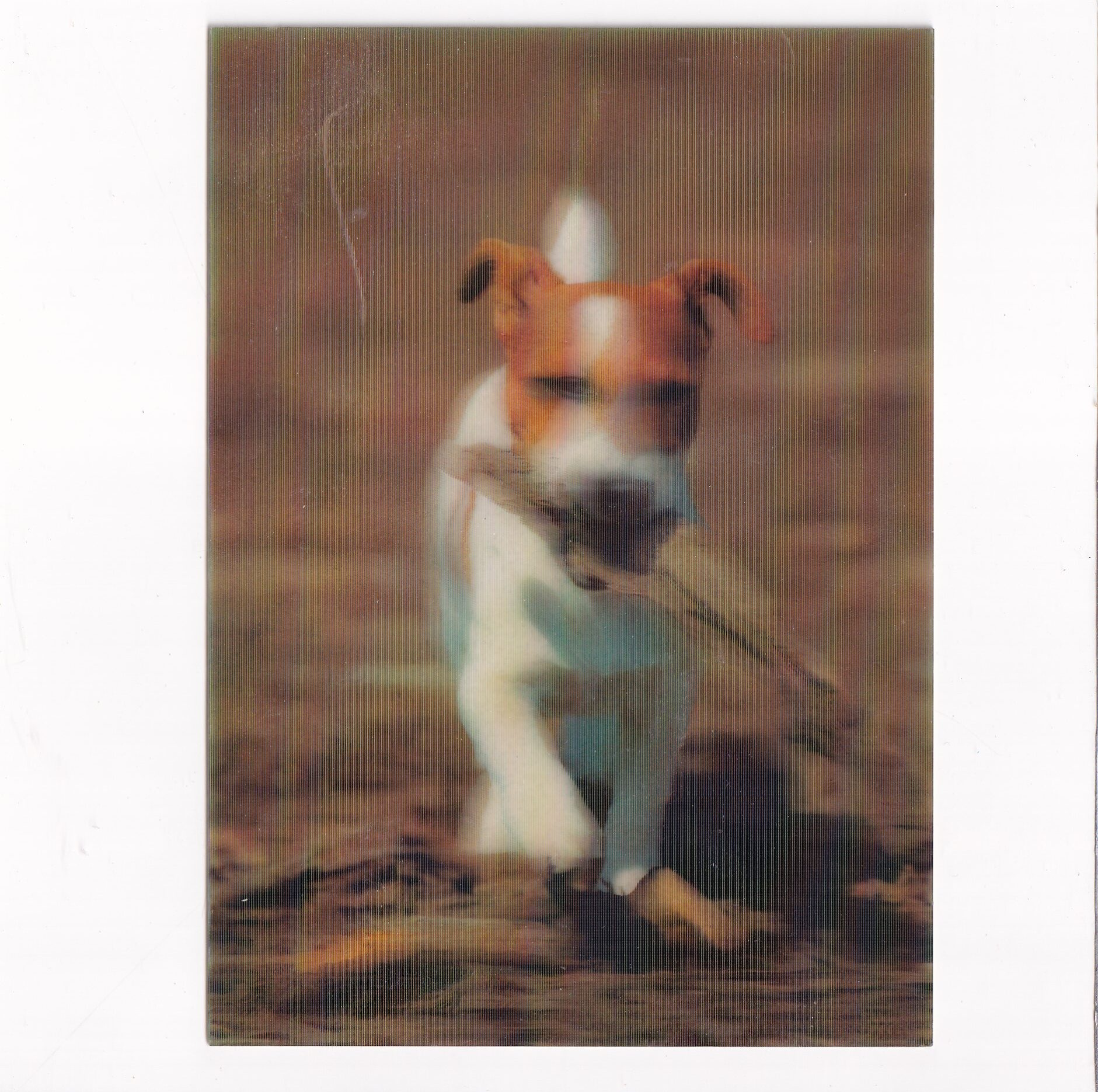 PIES PSY JACK RUSSEL TERRIER POCZTÓWKA 3D TRÓJWYMIAROWA A15541