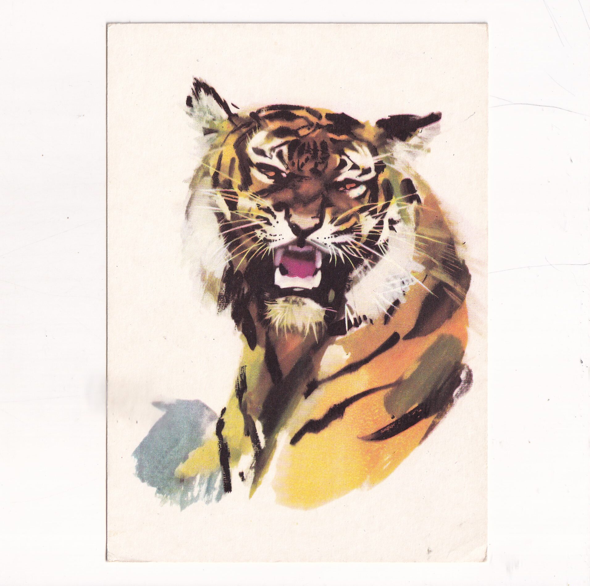 JANUSZ GRABIAŃSKI TYGRYS POCZTÓWKA A16358
