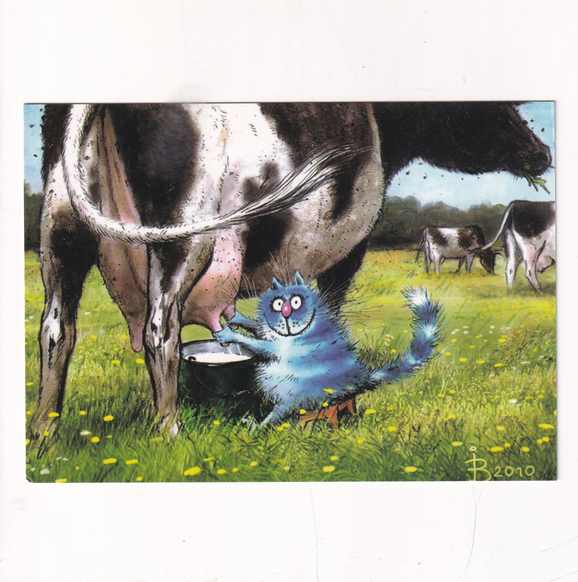 IRINA ZENIUK NIEBIESKI 2010 KOT KOT KOTY POCZTÓWKA A16379