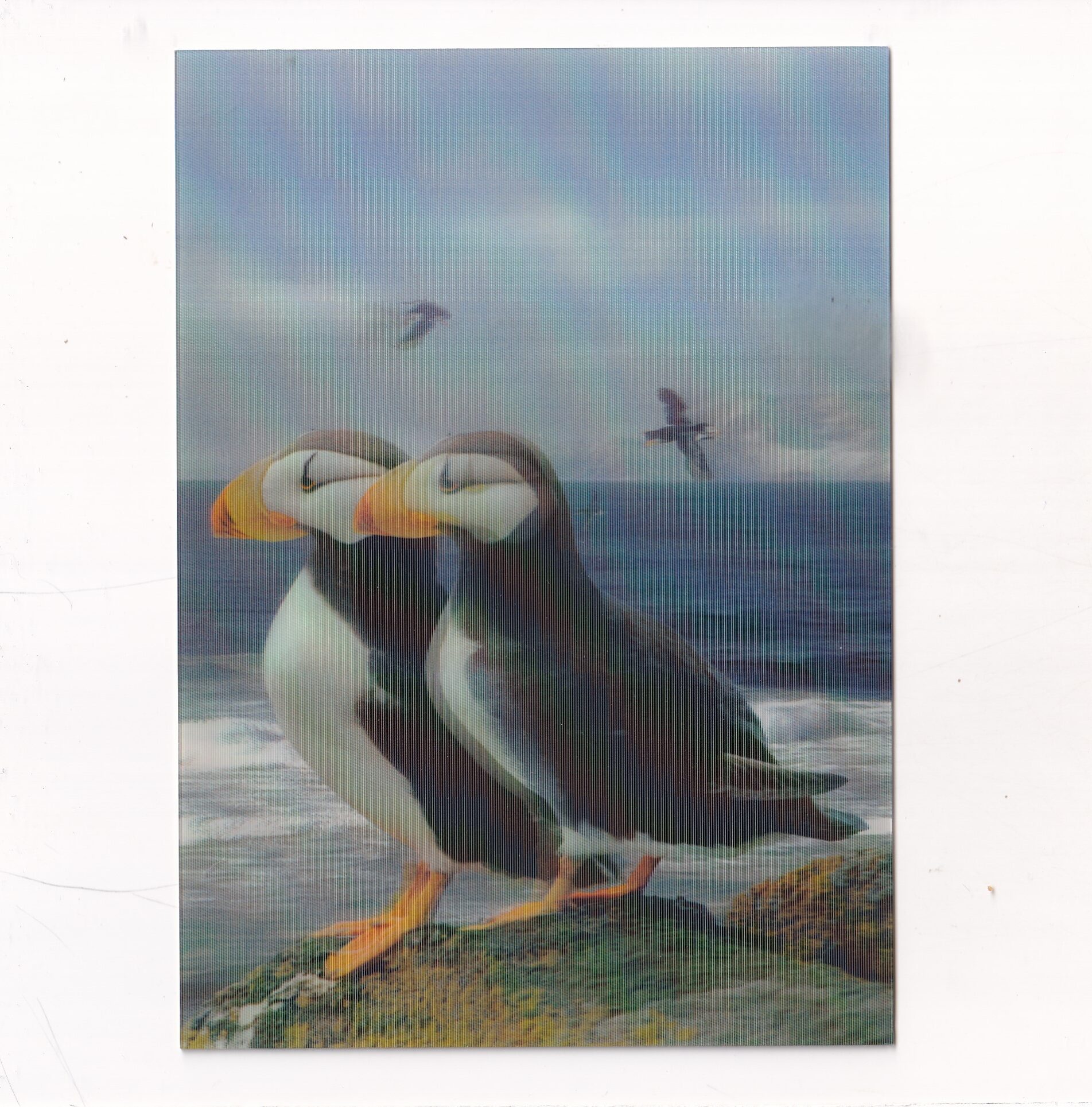 MASKONURY POCZTÓWKA 3D TRÓJWYMIAROWA A19162