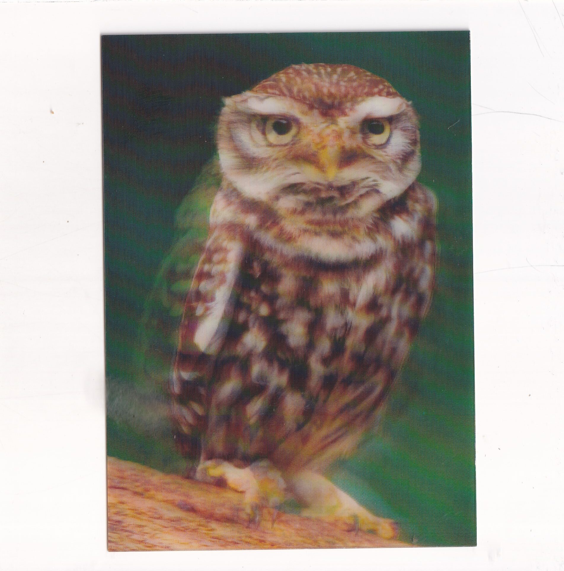 PÓJDŹKA POCZTÓWKA 3D TRÓJWYMIAROWA A19165