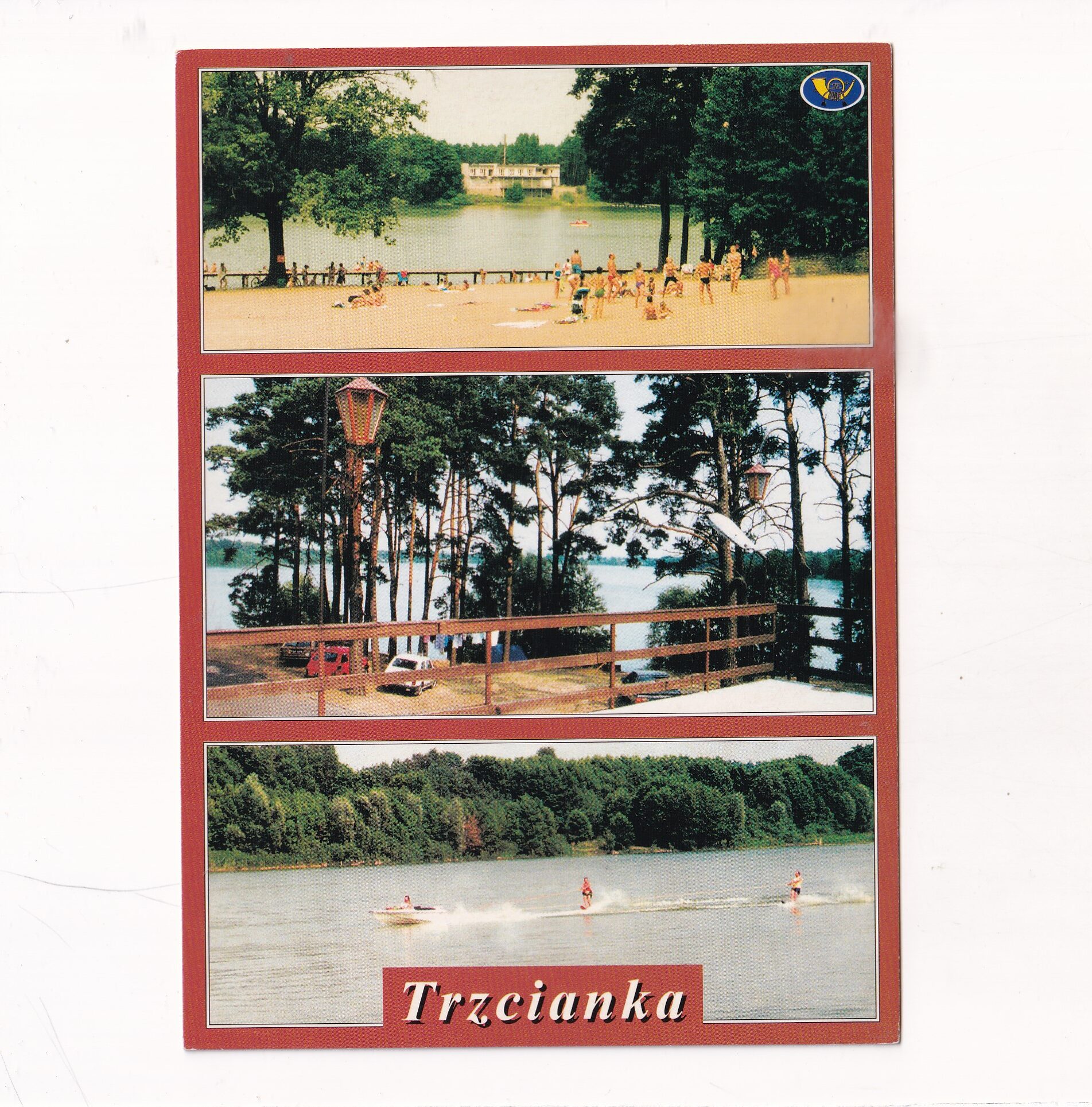 TRZCIANKA WIDOKÓWKA A19680