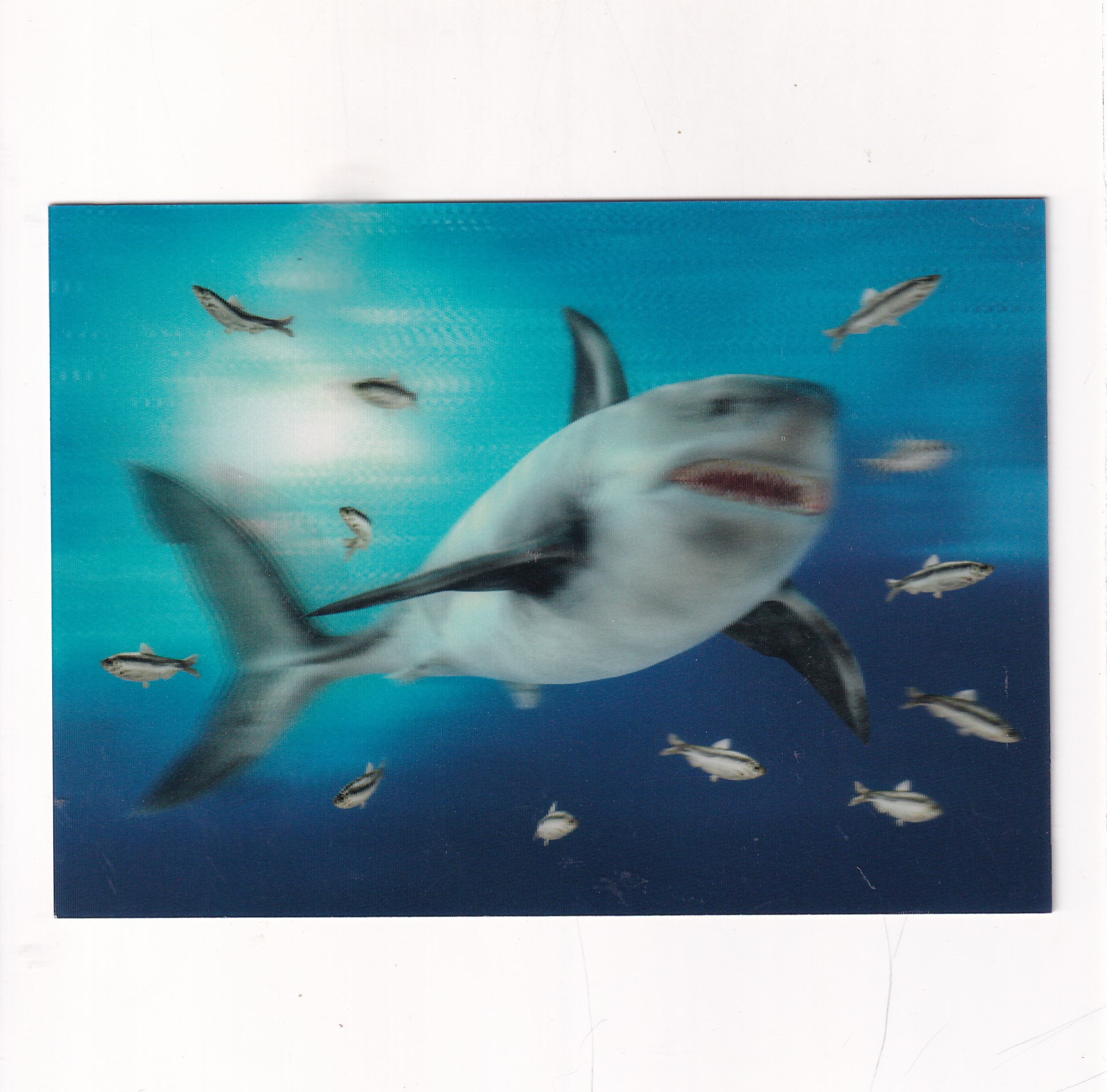 REKIN POCZTÓWKA 3D TRÓJWYMIAROWA A20263