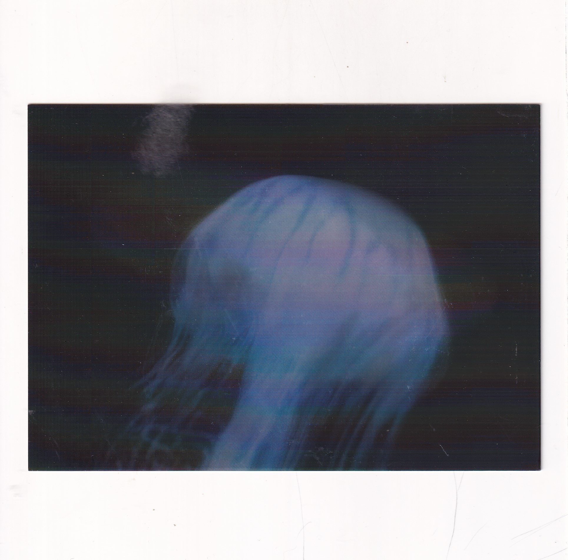 MEDUZA JELLYFISH POCZTÓWKA 3D TRÓJWYMIAROWA A20268