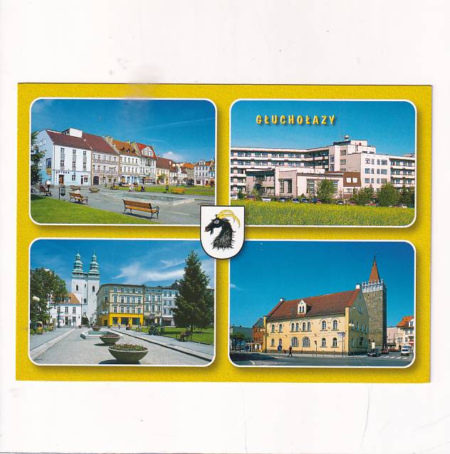 GŁUCHOŁAZY FRAGMENTY MIASTA HERB WIDOKÓWKA A23867