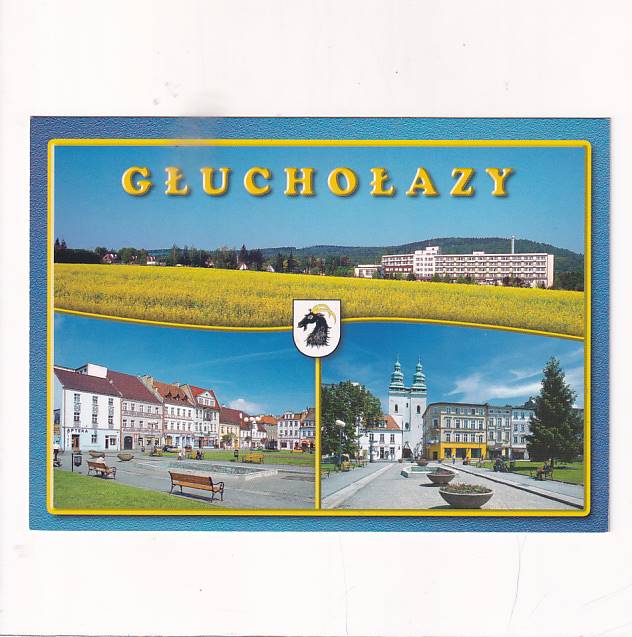 GŁUCHOŁAZY FRAGMENTY MIASTA HERB WIDOKÓWKA A23869