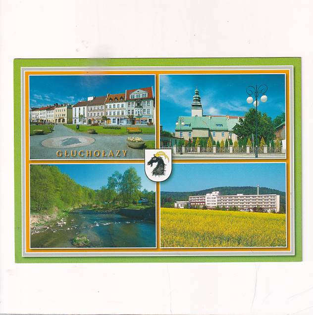 GŁUCHOŁAZY FRAGMENTY MIASTA HERB WIDOKÓWKA A23870