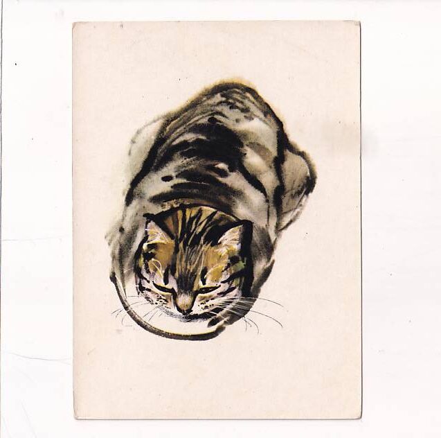 JANUSZ GRABIAŃSKI KOT POCZTÓWKA A26643