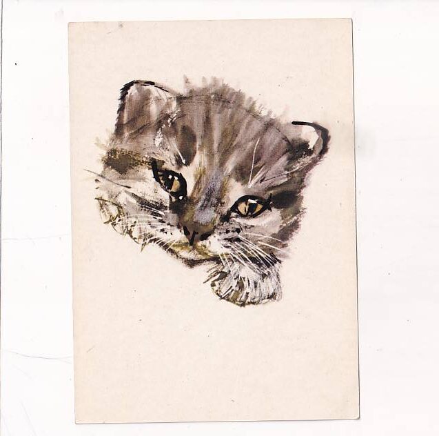 JANUSZ GRABIAŃSKI KOT POCZTÓWKA A26645